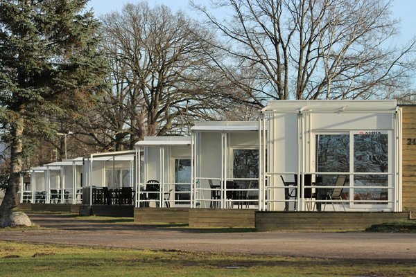 Uncover budget-friendly gems for perfecting classic welsh dishes